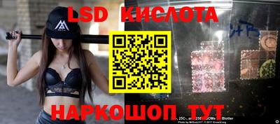 spice Кунгур