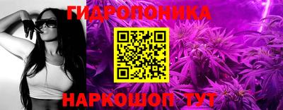 spice Кунгур