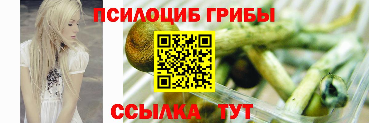 купить наркоту  Псилоцибиновые грибы мухоморы  Вход с VPN  Сатка 